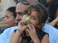 مهرجان الفقوس الساحوري 2015