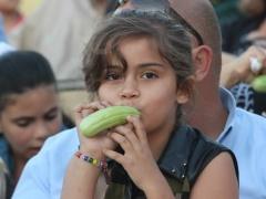 مهرجان الفقوس الساحوري 2015