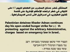 الأسرى للدراسات : قضية عدنان تحتاج لضغوط دولية