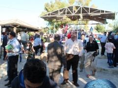 مهرجان الفقوس الساحوري 2015