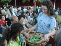 مهرجان الفقوس الساحوري 2015