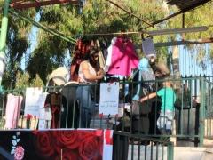 مهرجان الفقوس الساحوري 2015