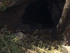 بالصور...العثور على جثة متحللة جنوب جنين