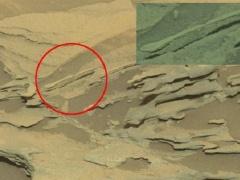 صورة من المريخ تحيّر الألباب وتتحدى 