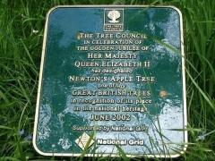 بالصور : أين تقع شجرة نيوتن التي أدت لاكتشاف الجاذبية