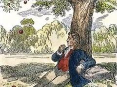 بالصور : أين تقع شجرة نيوتن التي أدت لاكتشاف الجاذبية