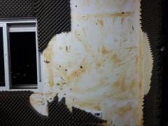 الاحتلال يغلق اذاعة منبر الحرية ويصادر معداتها في الخليل