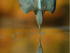 صورة اخذت من صاحبها 6 سنوات ليلتقطها