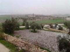 (بالفيديو والصور): المنخفض الجوي.. ماذا يحمل في الفترة المقبلة ؟