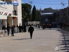 بالصور: احتفالات عيد الميلاد المجيد حسب التقويم الشرقي وسط مقاطعة شعبية