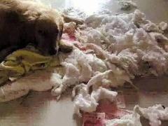 صور| خبأ المال عن زوجته.. فعاقبه القدر!