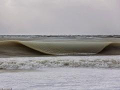 صور| هل سبق ورأيت 