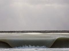 صور| هل سبق ورأيت 