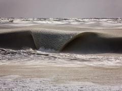صور| هل سبق ورأيت 