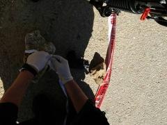 بالصور والفيديو | إصابة فلسطيني بدعوى محاولة طعن جنوب بيت لحم