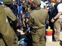 بالصور والفيديو | إصابة فلسطيني بدعوى محاولة طعن جنوب بيت لحم