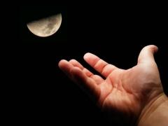 صعود الجبال وقفز الحواجز.. 5 مواقف خادعة للبصر «أوعى تصدق عينيك»