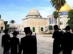 مستوطنون يقتحمون الأقصى والمصلون يتصدون بـالتكبير