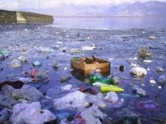 اكتشاف بكتريا تفترس الفضلات البلاستيكية