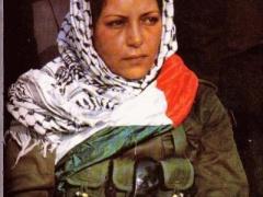 حكاية دلال المغربي