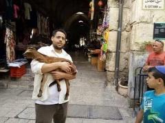 (بالصور) مستوطنون يحاولون تقديم قرابين على أبواب المسجد الاقصى