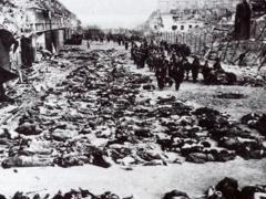 (صور من المذبحـــة) دير ياسين - بحر من الدم قبل 68 عاماً !!