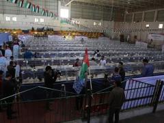 حَمَام في غزة 'أغلى من العرايس' وأعز من الأولاد!