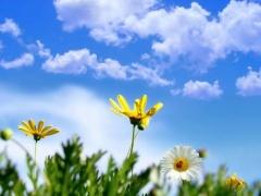 انخفاض ملموس على درجات الحرارة