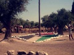 (صور) بحضور رسمي وشعبي - مجموعة 