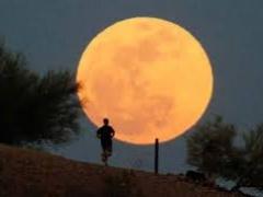 السعودية: غدا أول ايام شهر رمضان المبارك