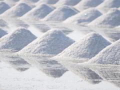 صور| أبشع طرق الإعدام.. الموت بالعسل وسحق الفيلة ومزرعة الخيزران!