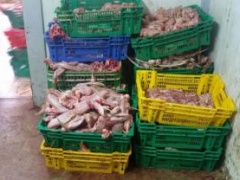 ضبط ٤٠٠ كغم من لحم الحبش الفاسد في نابلس