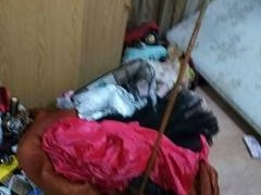 الاحتلال يعتقل اربعة شبان من بيت فجار والخضر جنوب بيت لحم