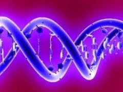 جين يعالج أمراض القلب والسرطان