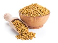 بذور الحلبة : فوائدها الصحية والجمالية