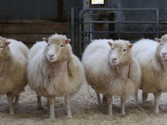 الضوضاء تؤخر تعلم الكلام عند الأطفال