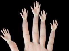 أطعمة صحية خفيفة تحارب الجوع