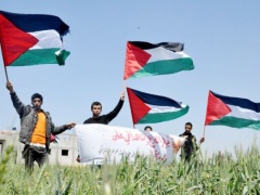 الخليل: مطالبات بتشكيل لجان وطنية وشعبية لإنهاء الانقسام