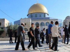 مستوطنون يقتحمون المسجد الأقصى بحماية قوات الاحتلال