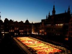 بالصور.. أكبر سجادة من الزهور في العالم!