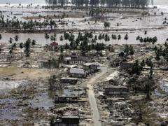 اكتشاف سلالة مدمرة من إنفلونزا الطيور في أميركا