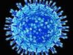 أطعمة صحية خفيفة تحارب الجوع