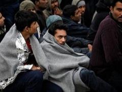 بالفيديو - ظبي يقتل ثعباناً ضخماً وهو داخل معدته