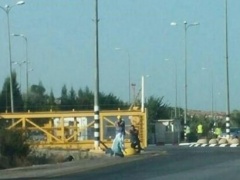 إصابة طالبة  بذريعة محاولة الطعن شرق قلقيلية