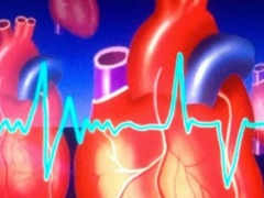 الشرطة تتلف جسما مشبوها شرق جنين