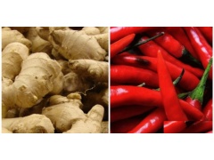 الشرطة تتلف جسما مشبوها شرق جنين