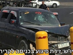 عشراوي: جرائم القتل المتعمد والإستيطان تتطلب عقوبات دولية عاجلة