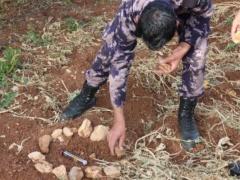 علماء روس تحت حصار الدببة قرب القطب الشمالي