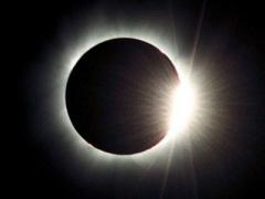 فيسبوك وتويتر نحو مكافحة نشر الأخبار الكاذبة