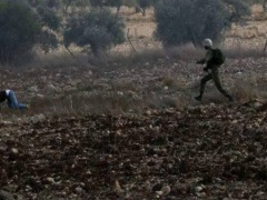 جنين: إصابة شاب برصاص الاحتلال واعتقال 5 شبان وتدمير ورشة للمركبات